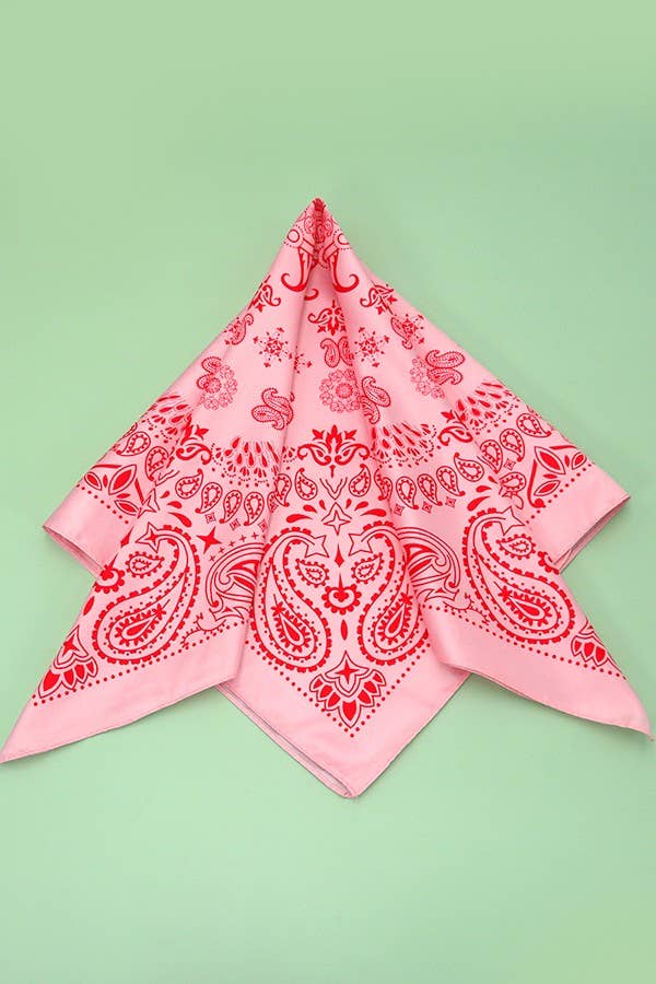 Paisely Bandana Scarf