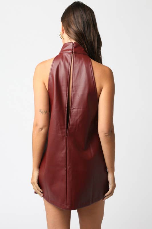 Kenley Mini Dress: Burgundy