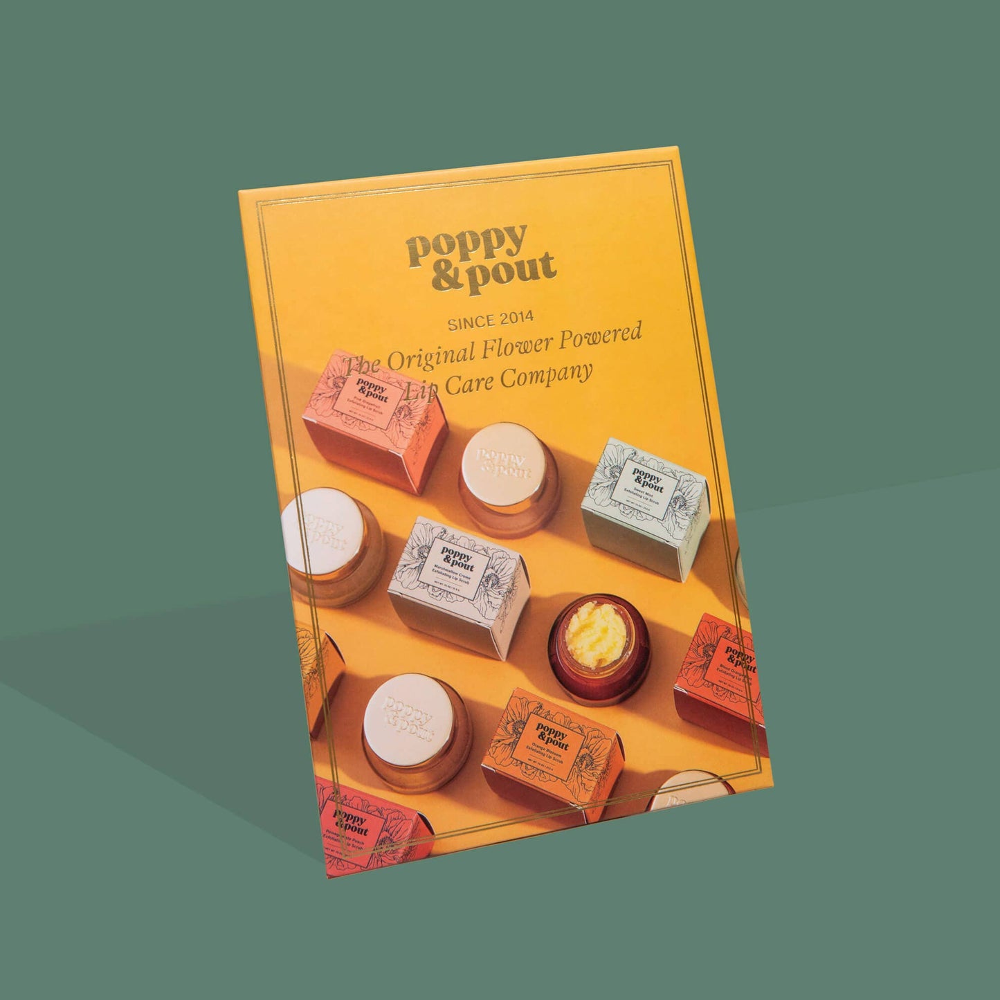 Retailer Sign, Easel, Lip Scrub