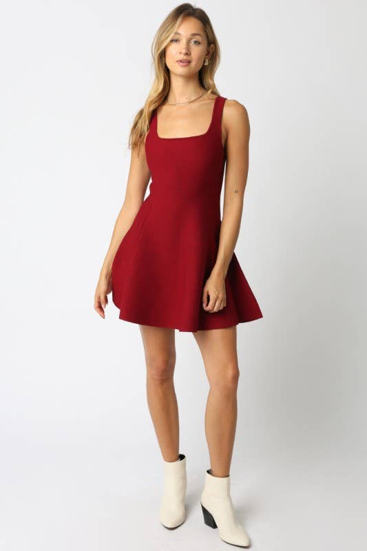 Eva Flare Knit Dress: Burgundy / S