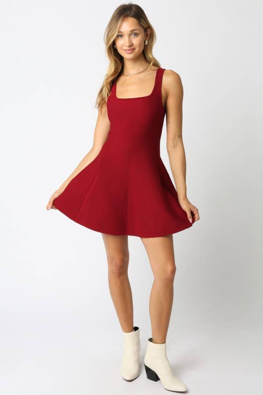 Eva Flare Knit Dress: Burgundy / S