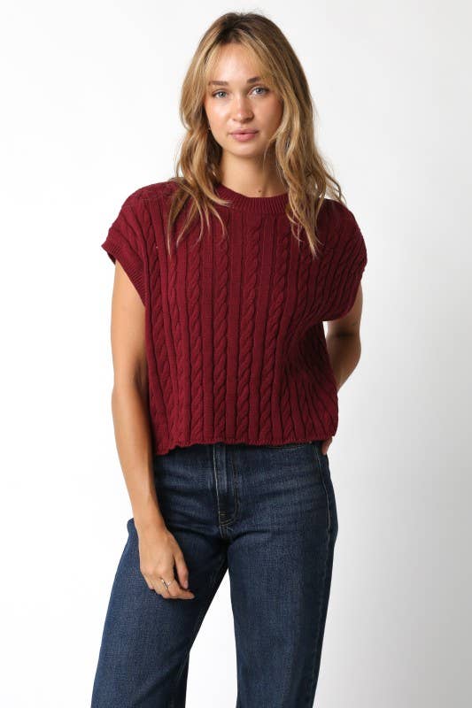 Alina Sweater Vest Top: Burgundy / Contemporary / L