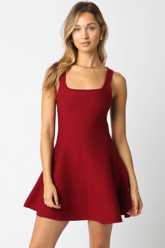 Eva Flare Knit Dress: Burgundy / S